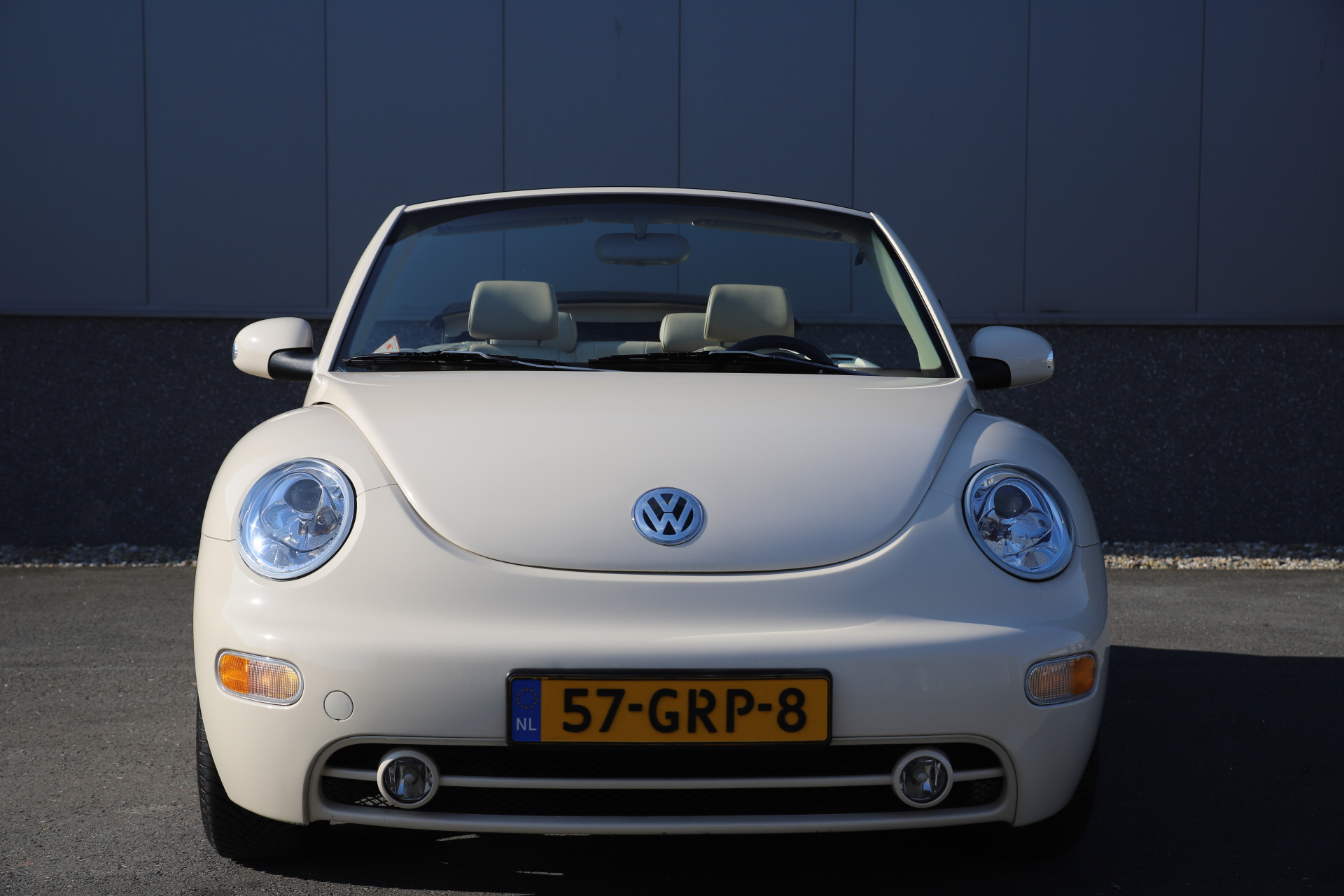 43159437-2.jpg