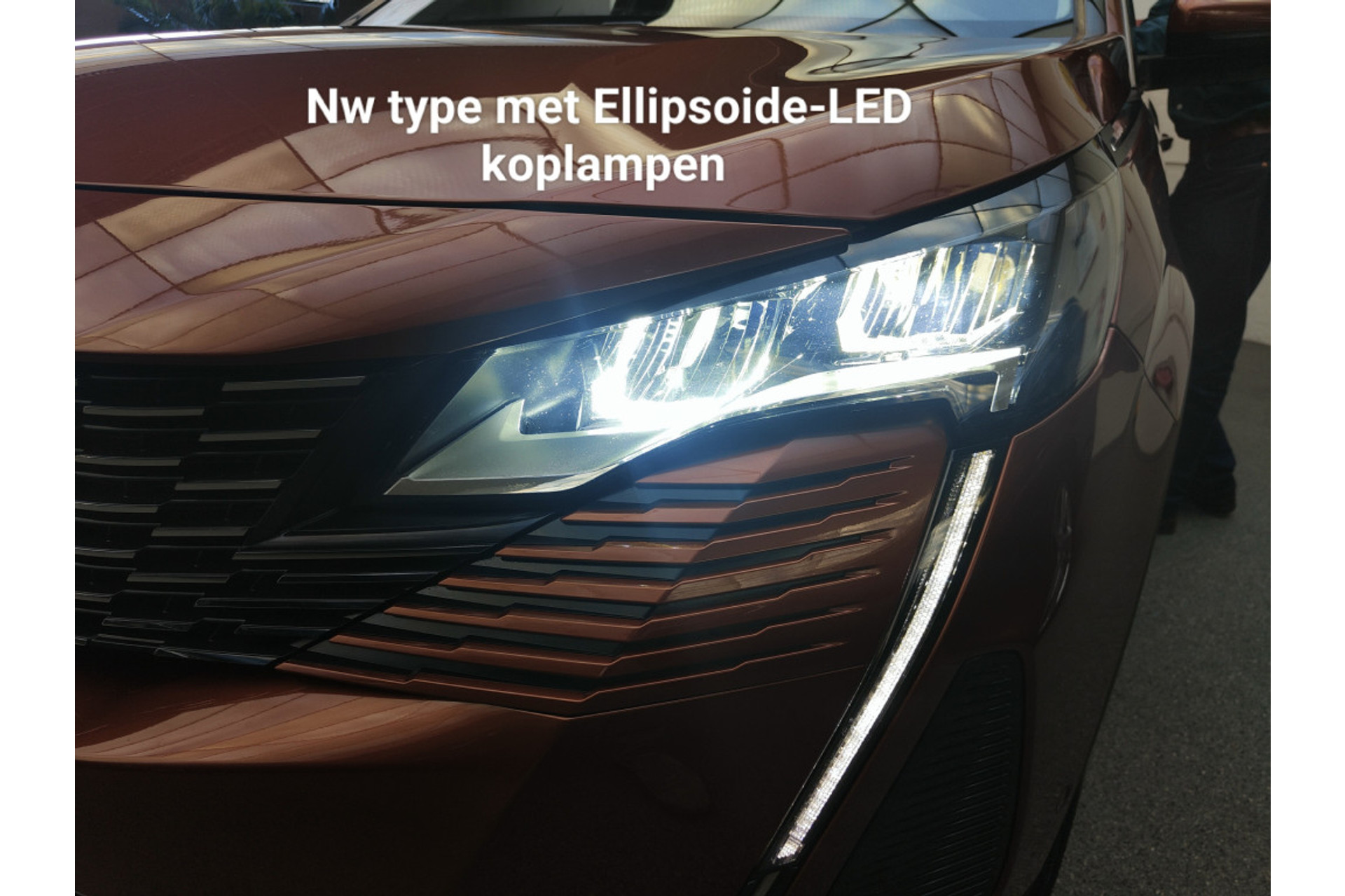 46155568-4.jpg